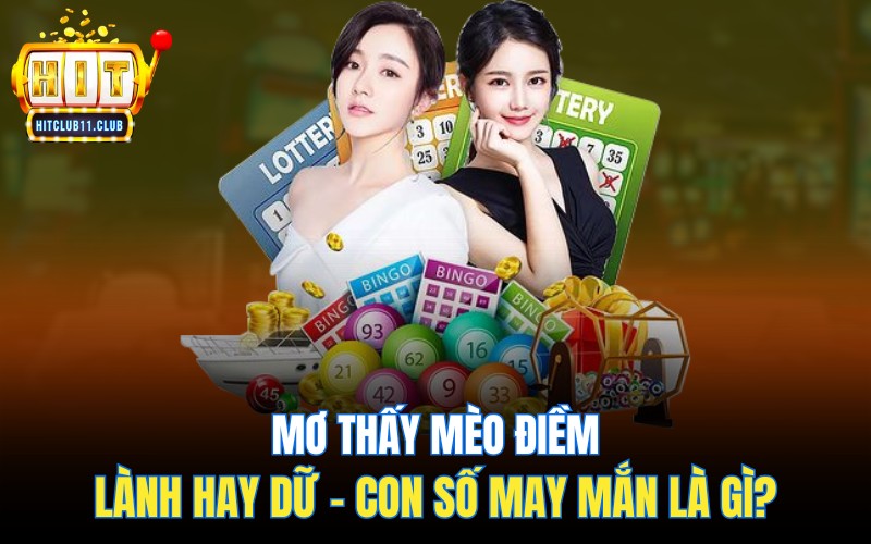 Mơ Thấy Mèo | Điềm Lành Hay Dữ - Con Số May Mắn Là Gì? 1 Mơ Thấy Mèo | Điềm Lành Hay Dữ - Con Số May Mắn Là Gì?