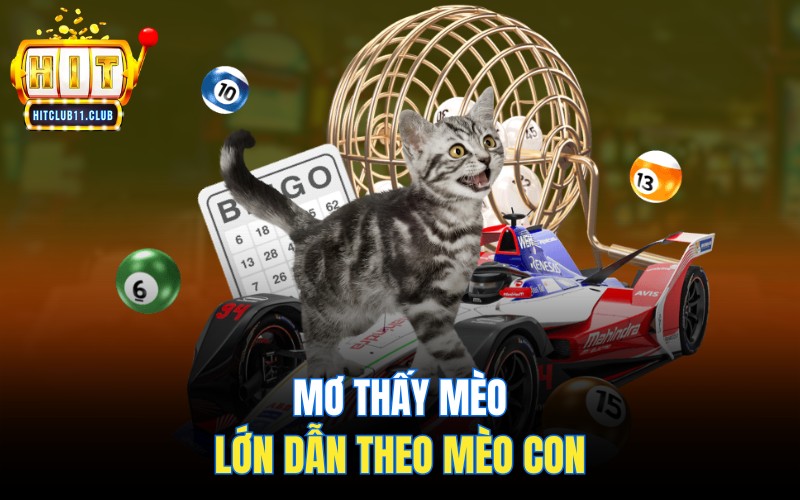 Mơ Thấy Mèo | Điềm Lành Hay Dữ - Con Số May Mắn Là Gì? 7 Mơ thấy mèo lớn dẫn theo mèo con